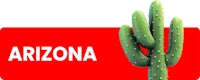 a cactus with the word arizona on it